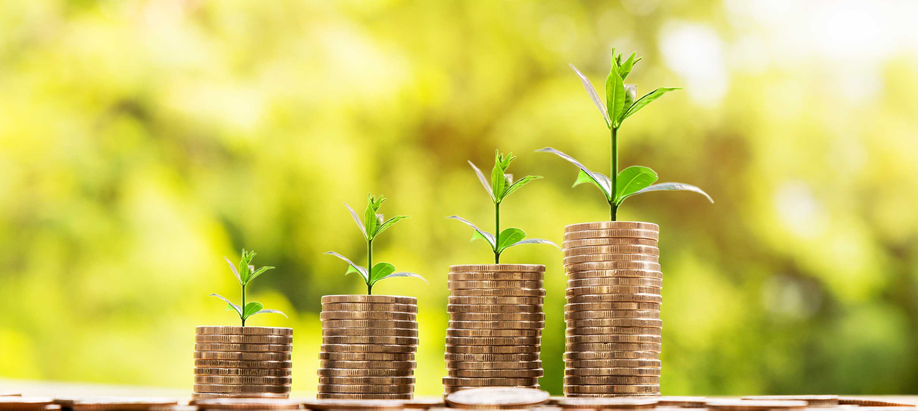 This image shows small seedlings on top of piles of coins. There are four seedlings each perched on taller and taller piles, suggesting a histogram or bar chart where the amounts invested increase. This is symbolising the act of paying to enhance growth.