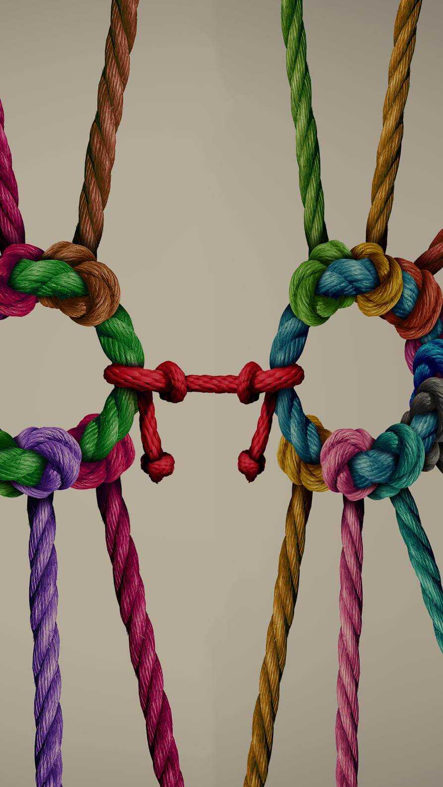 A photograph of multicolour ropes. There are two rings of  rope, each with a number of other colour ropes tied to them, with the lengths of rope forming arms away from the centre. The two rings are joined together with a single red rope. This is being used to signify how and organisation can have many people and connections, and so too a digital agency. The red rope suggestion the connection between agency and organisation.