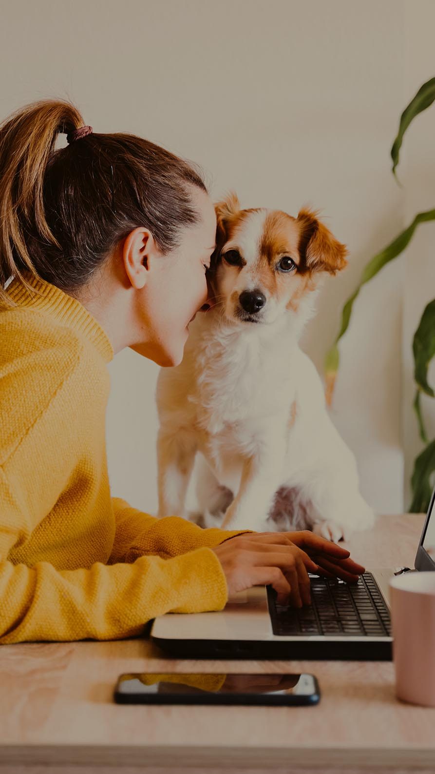 A photo of a woman in a bright mustard yellow jumper who has paused from working on her laptop to nuzzle up against her white and sand terrier dog who is sitting on the desk, looking straight down the camera lens. There's a mature yucca houseplant in the background suggesting the young woman is working from home.