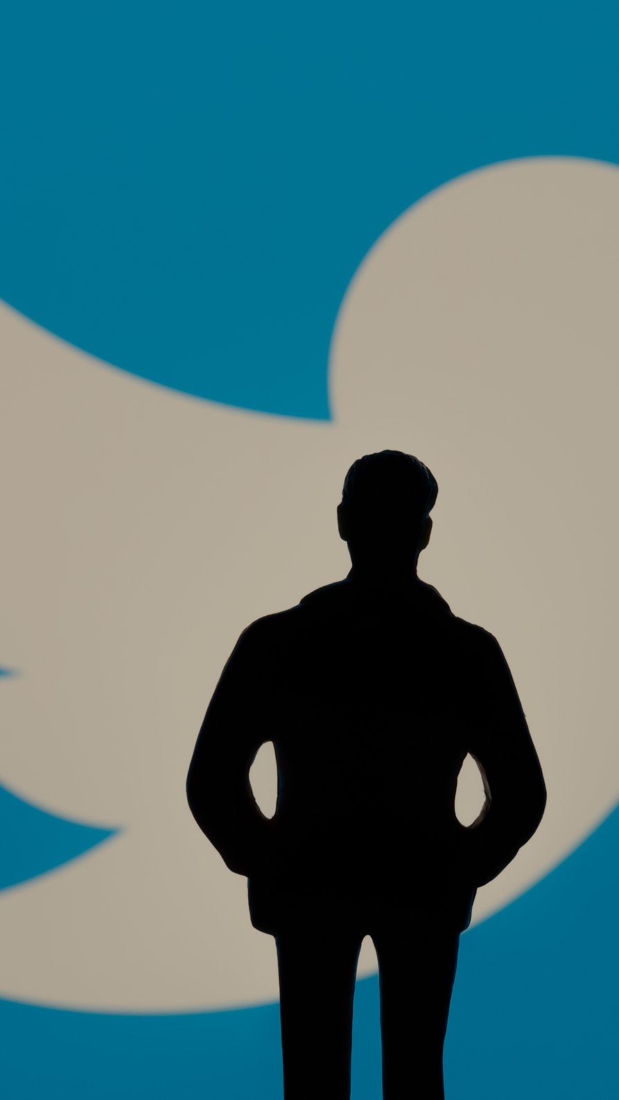 A blurred background of the Twitter logo with the black silhouette of what could possibly be Elon Musk, the new CEO of Twitter.